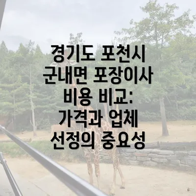 경기도 포천시 군내면 포장이사 비용 비교: 가격과 업체 선정의 중요성