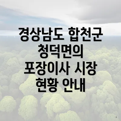 경상남도 합천군 청덕면의 포장이사 시장 현황 안내