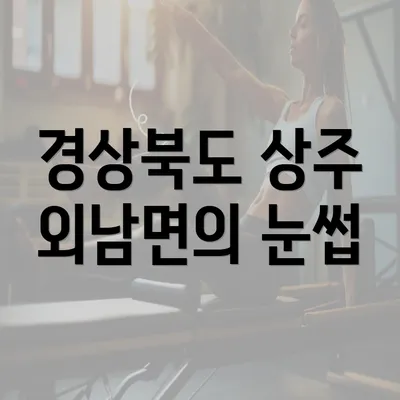 경상북도 상주 외남면의 눈썹 반영구 화장에 대하여