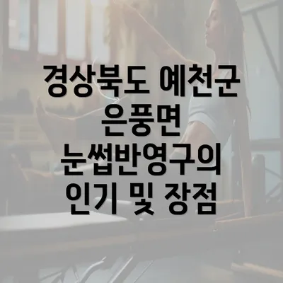 경상북도 예천군 은풍면 눈썹반영구의 인기 및 장점