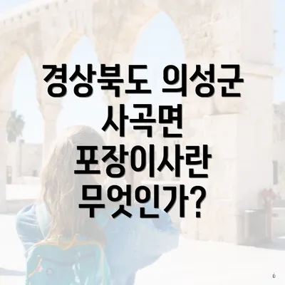 경상북도 의성군 사곡면 포장이사란 무엇인가?