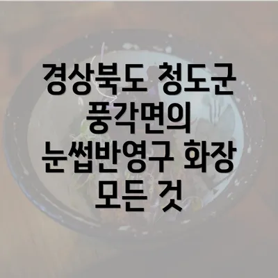 경상북도 청도군 풍각면의 눈썹반영구 화장 모든 것