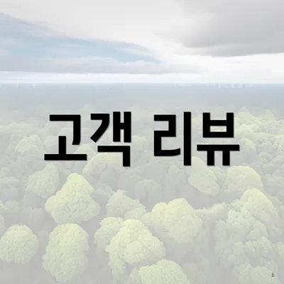 고객 리뷰