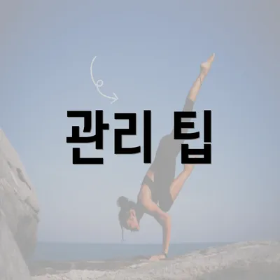 관리 팁