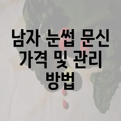 남자 눈썹 문신 가격 및 관리 방법