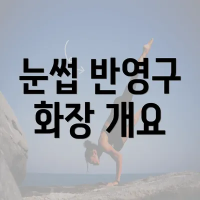 눈썹 반영구 화장 개요