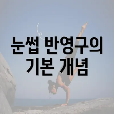 눈썹 반영구의 기본 개념