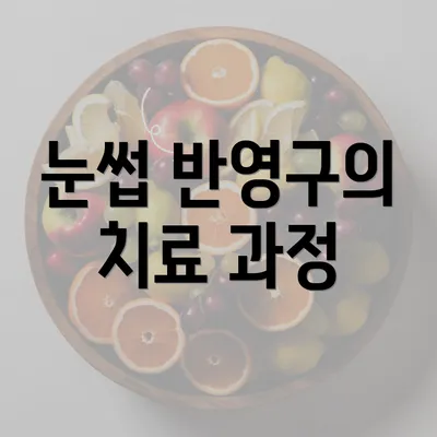 눈썹 반영구의 치료 과정