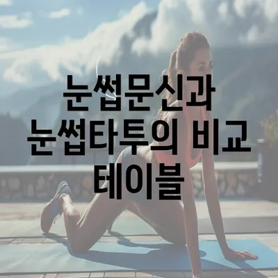 눈썹문신과 눈썹타투의 비교 테이블