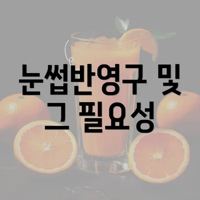 눈썹반영구 및 그 필요성