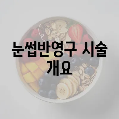 눈썹반영구 시술 개요