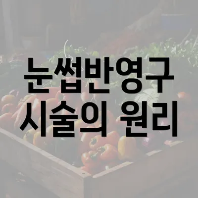 눈썹반영구 시술의 원리