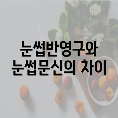 눈썹반영구와 눈썹문신의 차이