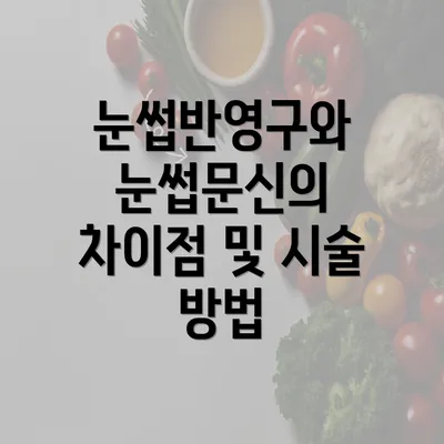 눈썹반영구와 눈썹문신의 차이점 및 시술 방법