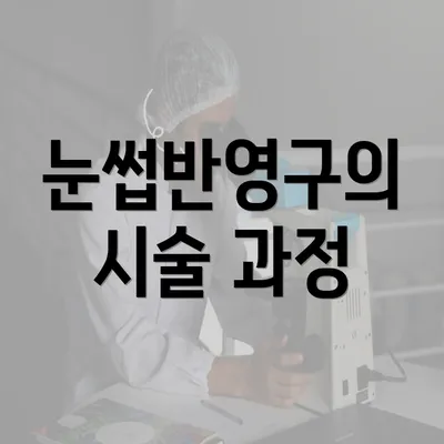 눈썹반영구의 시술 과정