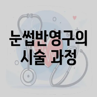 눈썹반영구의 시술 과정