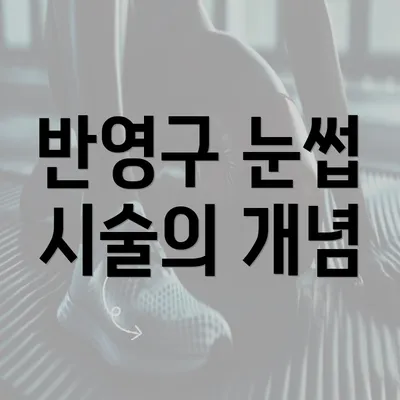 반영구 눈썹 시술의 개념