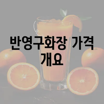 반영구화장 가격 개요