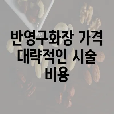 반영구화장 가격 대략적인 시술 비용