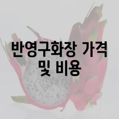 반영구화장 가격 및 비용