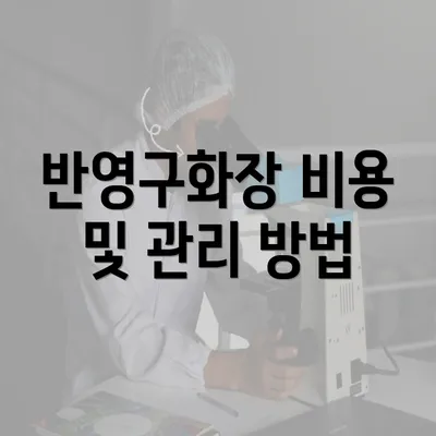 반영구화장 비용 및 관리 방법