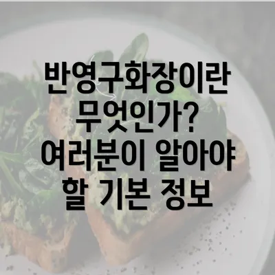 반영구화장이란 무엇인가? 여러분이 알아야 할 기본 정보