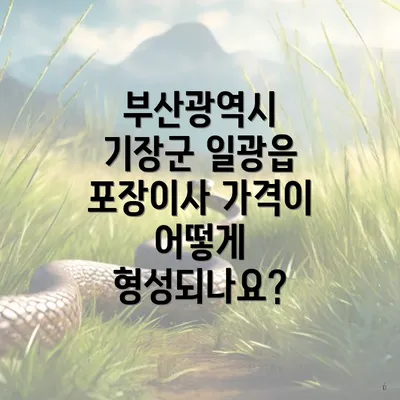 부산광역시 기장군 일광읍 포장이사 가격이 어떻게 형성되나요?