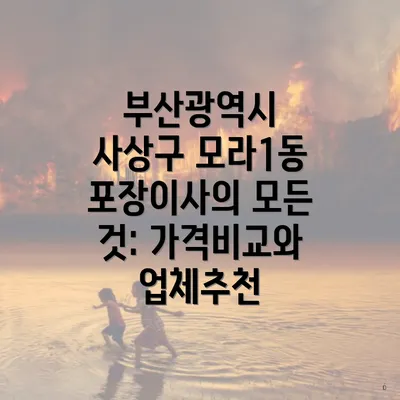 부산광역시 사상구 모라1동 포장이사: 비용 구조와 예산 절약 방법