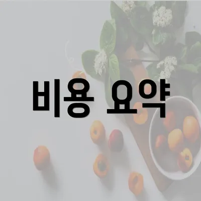 비용 요약