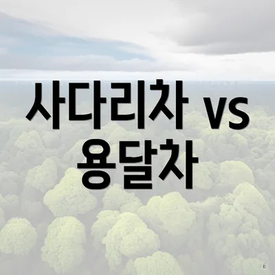 사다리차 vs 용달차