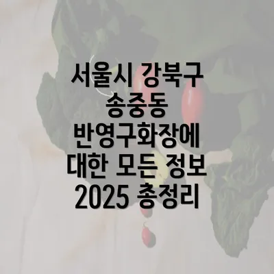 서울시 강북구 송중동 반영구화장에 대한 모든 정보 2025 총정리