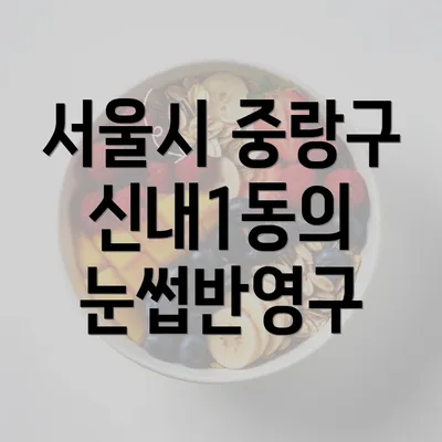 서울시 중랑구 신내1동의 눈썹반영구