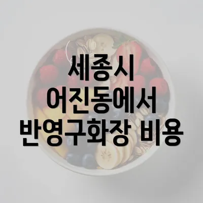 세종시 어진동에서 반영구화장 비용