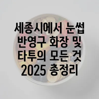 세종시에서 눈썹 반영구 화장 및 타투의 모든 것 2025 총정리