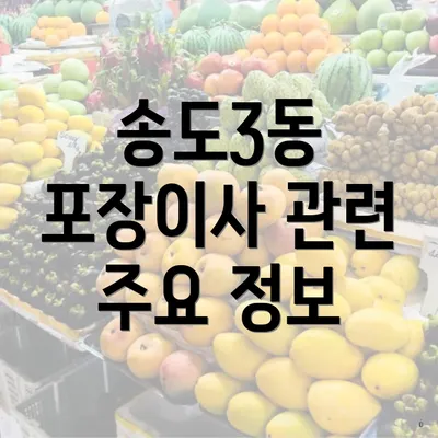 송도3동 포장이사 관련 주요 정보