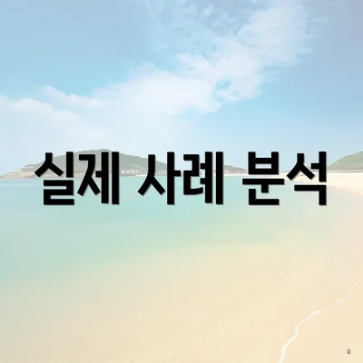 실제 사례 분석