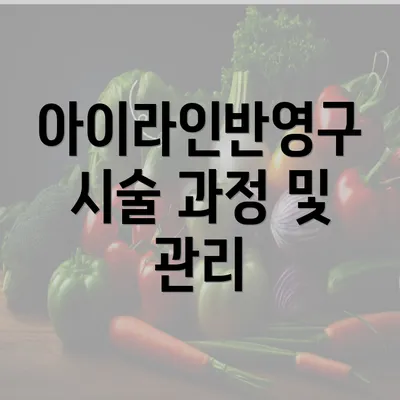 아이라인반영구 시술 과정 및 관리