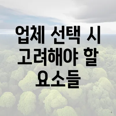 업체 선택 시 고려해야 할 사항