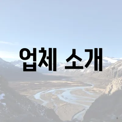 업체 소개