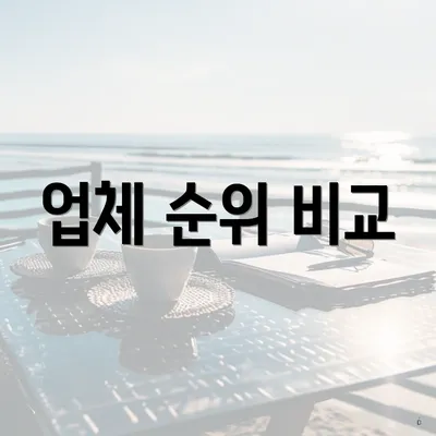 업체 순위 비교