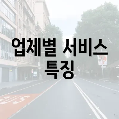 업체별 서비스 특징