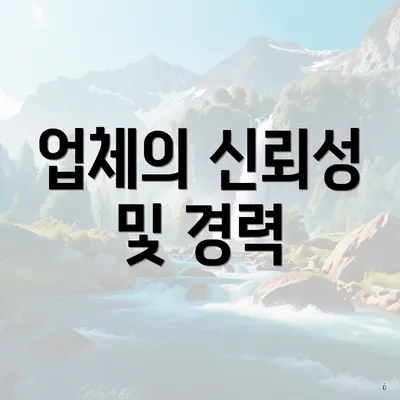 업체의 신뢰성 및 경력