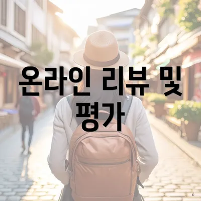 온라인 리뷰 및 평가