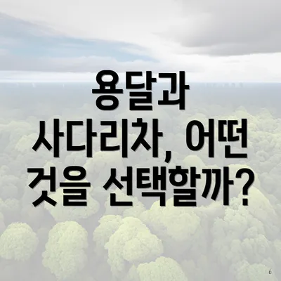 용달과 사다리차, 어떤 것을 선택할까?