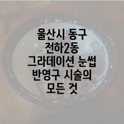 울산시 동구 전하2동 그라데이션 눈썹 반영구 시술의 모든 것