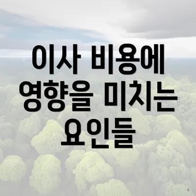 이사 비용에 영향을 미치는 요인들