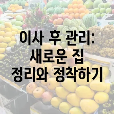 이사 후 관리: 새로운 집 정리와 정착하기