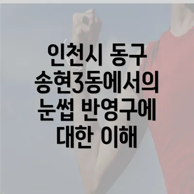 인천시 동구 송현3동에서의 눈썹 반영구에 대한 이해