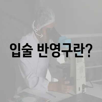 입술 반영구란?