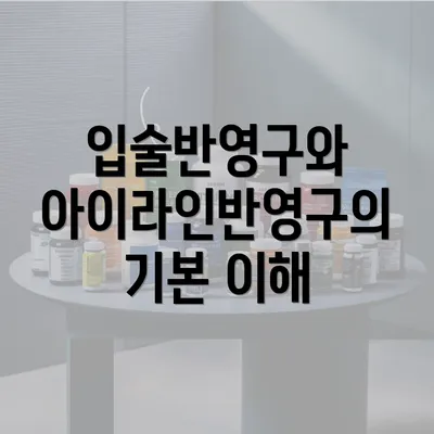 입술반영구와 아이라인반영구의 기본 이해